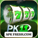 PK11 Game Logo
