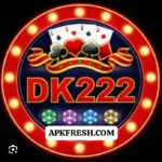 DK22 Game Logo